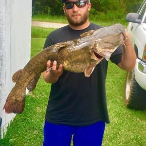 Meet your Posher, Brad